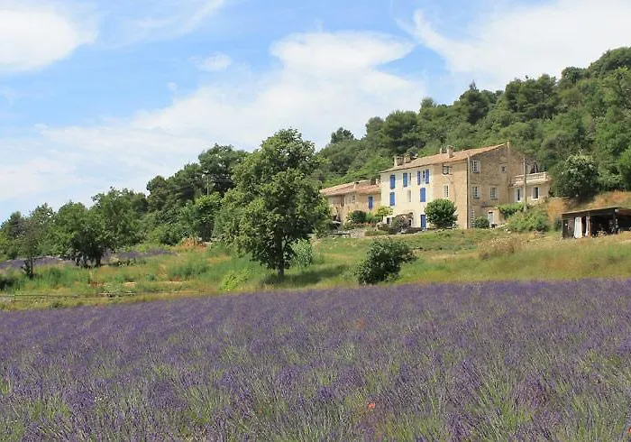 Domaine De Bertrandy