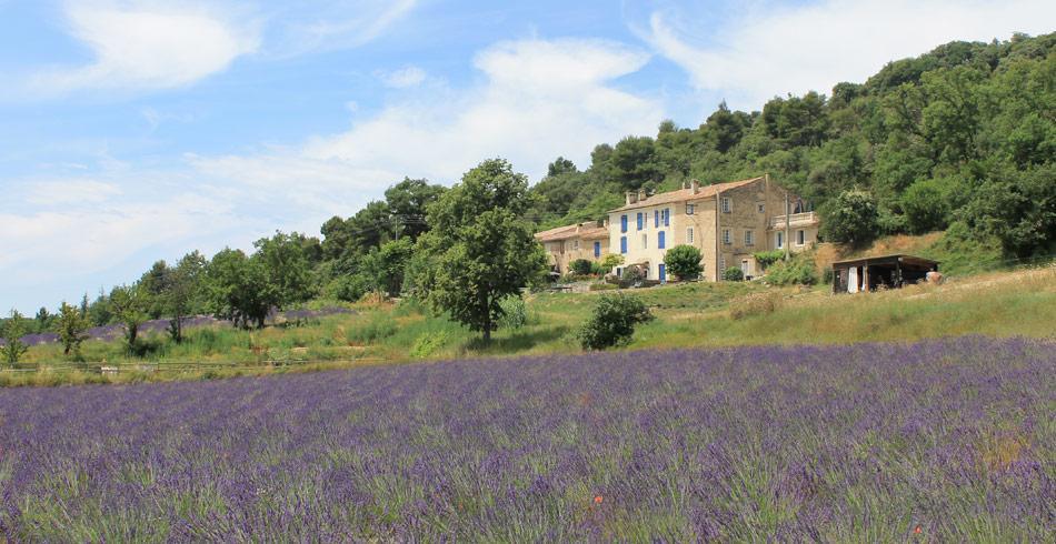 Domaine De Bertrandy Bed & Breakfast Allemagne-en-Provence